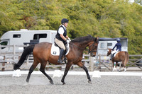 ARENA 1 - All Dressage Tests between 11:30 - 12:30