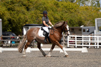 ARENA 1 - All Dressage Tests between 12:30 - 13:30