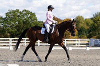 ARENA 2 - All Dressage Tests between 11:30 - 12:30