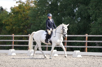 ARENA 2 - All Dressage Tests between 12:30 - 13:30