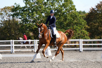 ARENA 2 - All Dressage Tests between 09:30 - 10:30