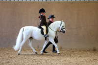 23.08.26 Indoor Showing Show, Stourport Riding Centre