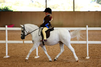 RING 1 - All Classes between 12:00 - 13:00