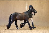 MCP_1783