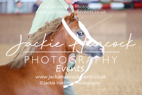 MCP_9537