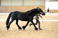 MCP_0585