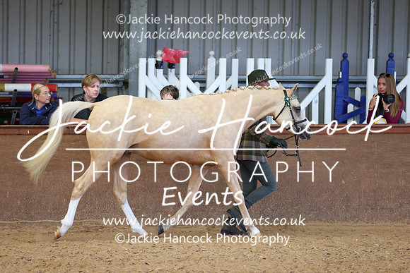 MCP_0882