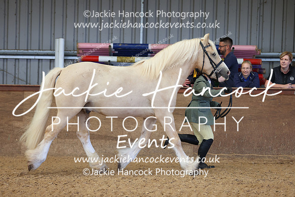 MCP_0978