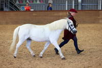 RING 2 - All Classes between 12:00 - 13:00