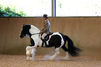 MCP_4745