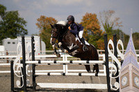17a/b - Pony Newcomers 100cm