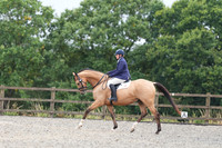 All Dressage Tests between 11:00 - 12:00