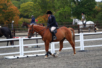 XC1_7587