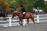 XC1_7588