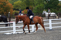 XC1_7589
