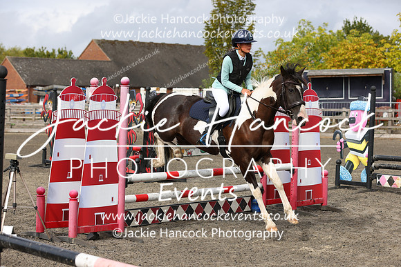 MCP_6838