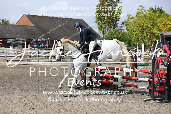 MCP_8295