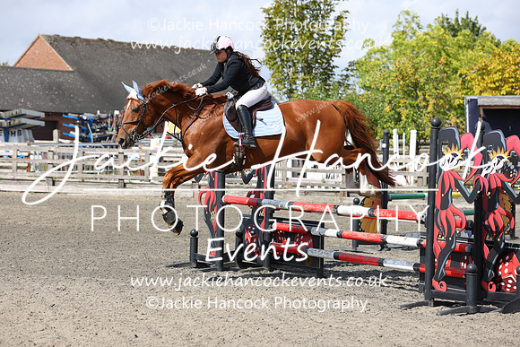 MCP_8381