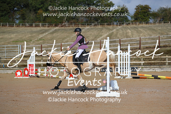 XC1_8061