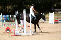 XC1_8282