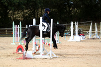 XC1_8284