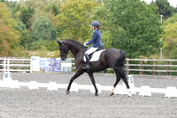 ARENA 1 - All Dressage tests between 10:00 - 11:00
