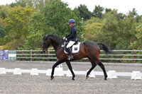 ARENA 1 - All Dressage tests between 12:00 - 13:00