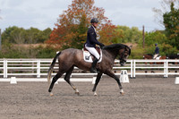 ARENA 1 - All Dressage tests between 13:00 - 14:00