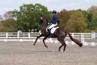 ARENA 1 - All Dressage tests between 14:00 - 15:00