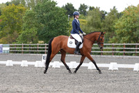 ARENA 1 - All Dressage tests between 11:00 - 12:00