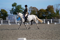 ARENA 1 - All Dressage Tests between 09:00 - 10:00