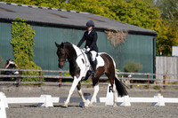 ARENA 1 - All Dressage Tests between 10:00 - 11:00