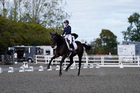 ARENA 1 - All Dressage Tests between 14:00 - 15:00