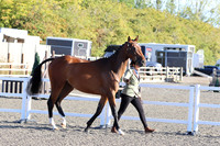 LAR_1320