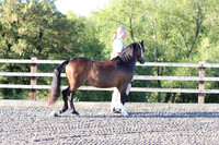 LAR_1325