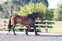 LAR_1328