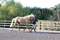 LAR_1331