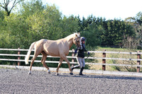 LAR_1330