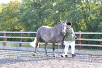 LAR_1458