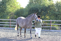 LAR_1464