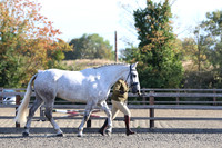 LAR_1470