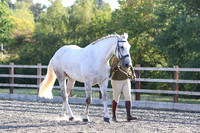 LAR_1471