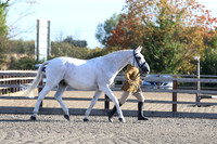 LAR_1472