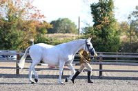 LAR_1473