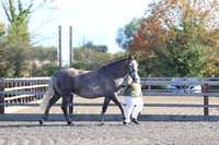 LAR_1462