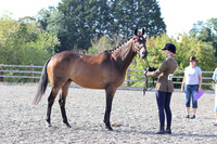 LAR_1587