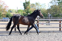 LAR_1592