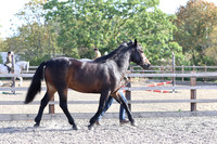 LAR_1593