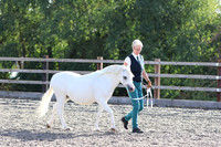 LAR_1595