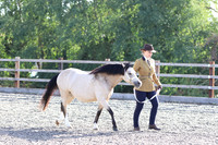 LAR_1594